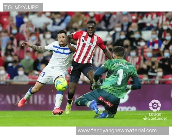 欧锦赛最新积分榜揭晓北京篮球队以61分稳居第一